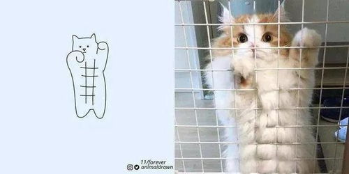 看完这组脑洞魔改图,再也无法直视原图了